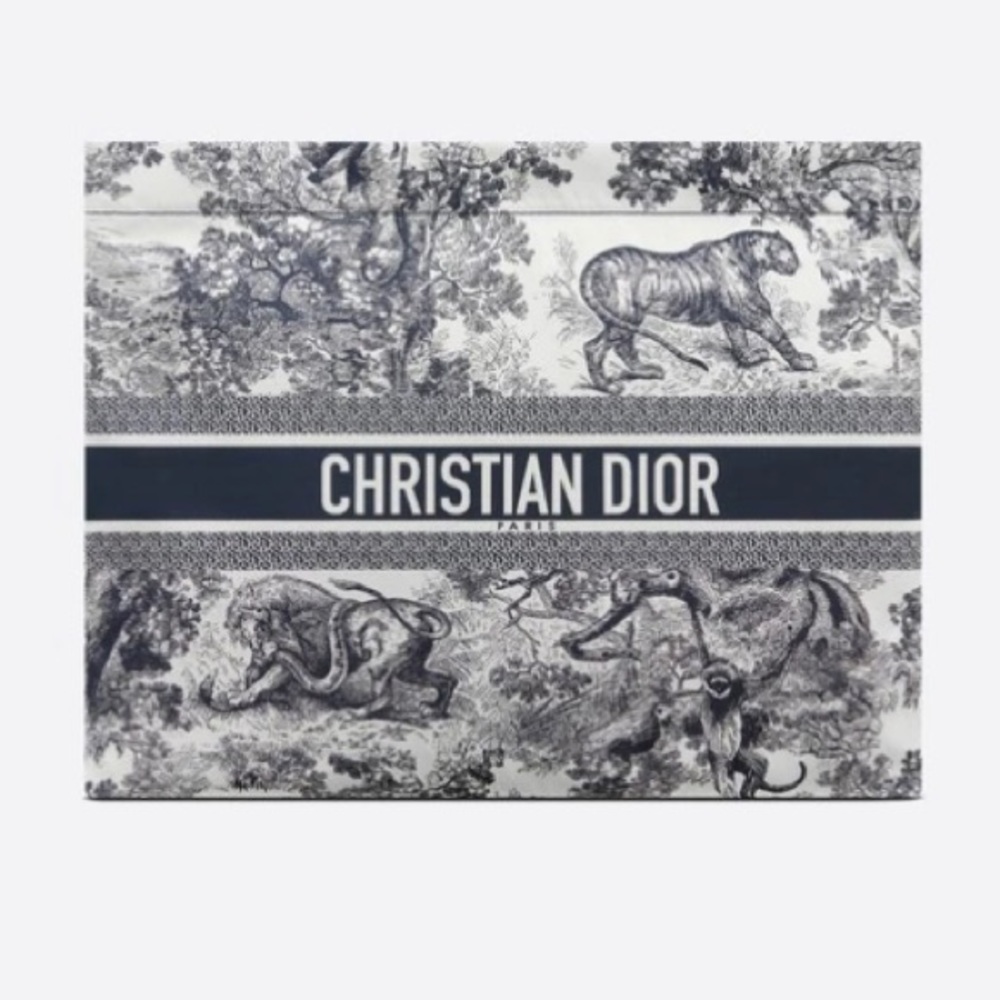 Dior women’s pouch bag